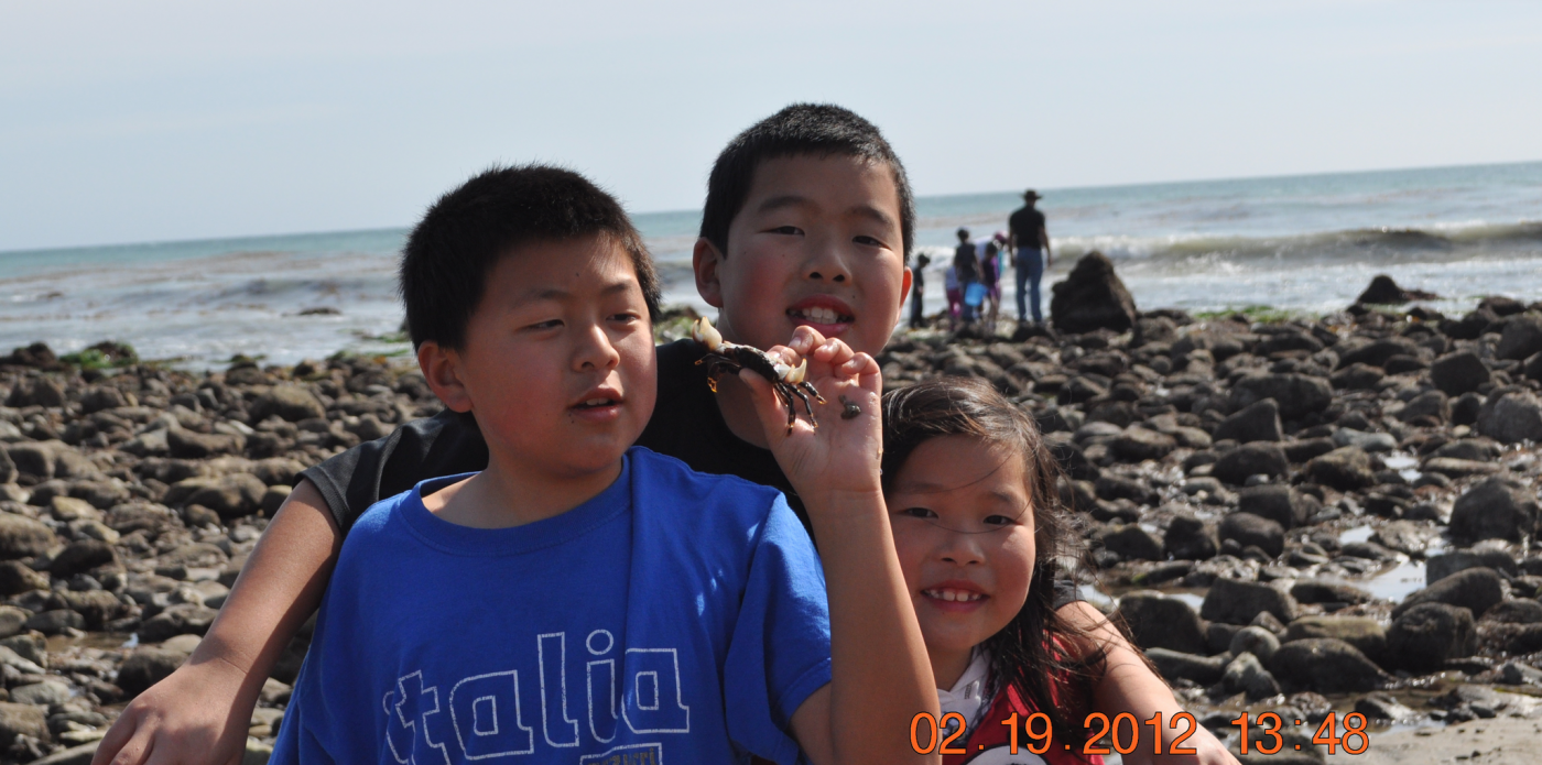 2012 Big Sur Beach